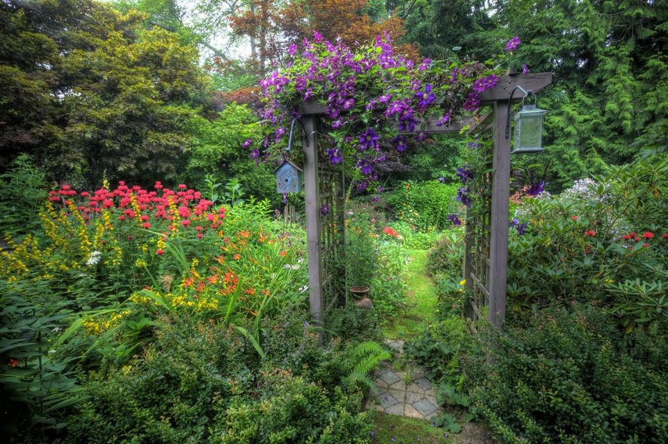 水仙花花语,,蒲公英花语,都市花语446,忘记的花语