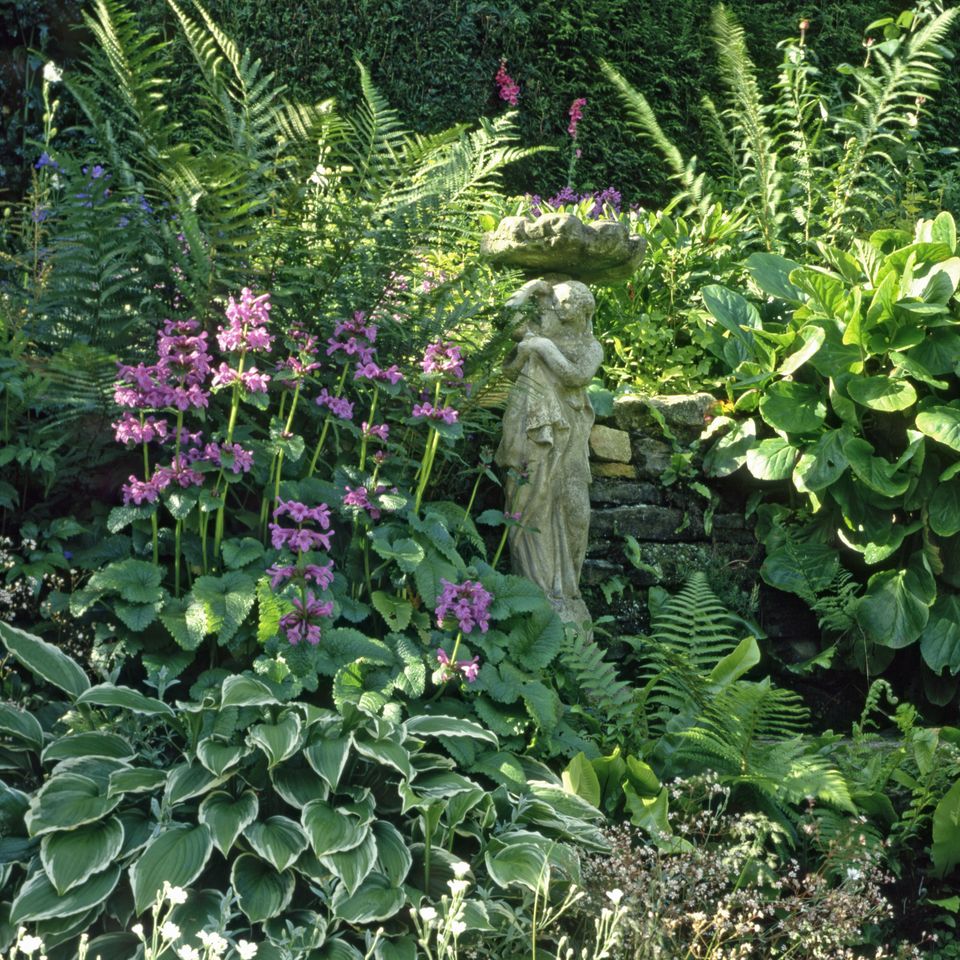 19朵玫瑰花语,浪漫花语,百合花语,花语是恋人,友谊+花语