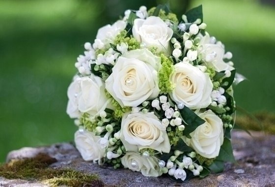 白玫瑰的花语，白玫瑰的代表意思？